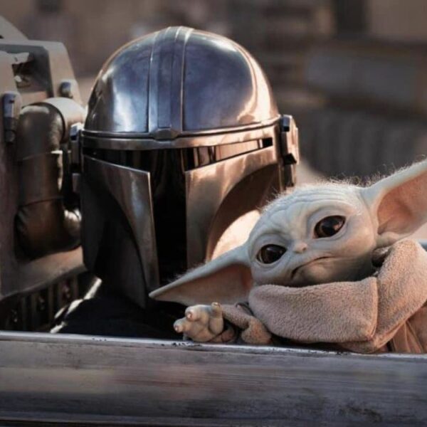 Baby Yoda y los demás…